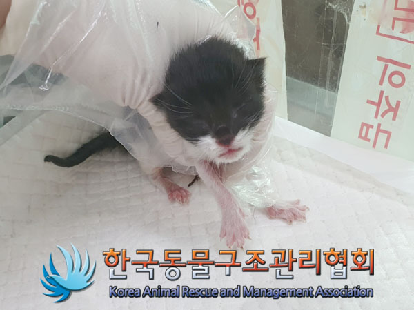 한국동물구조관리협회_441559202300394